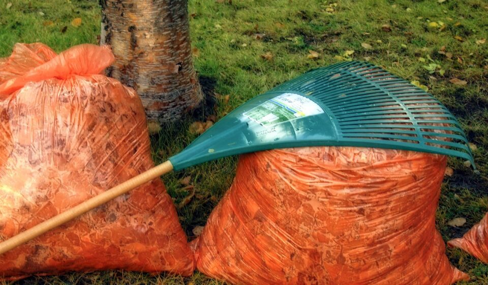 autumn, fall, rake, nature, leaves, garden, tool, orange bag