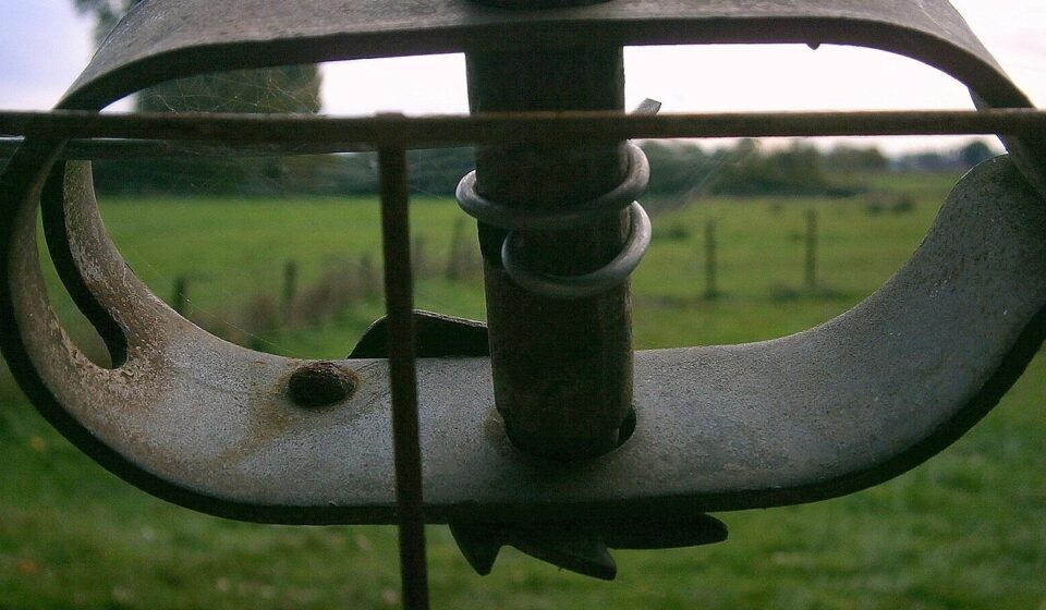fence, wire tensioner, wire, barbed wire tensioner, element, clamping element, metal, iron, pasture, coupling, old, rusty, rust, rusted, outdated