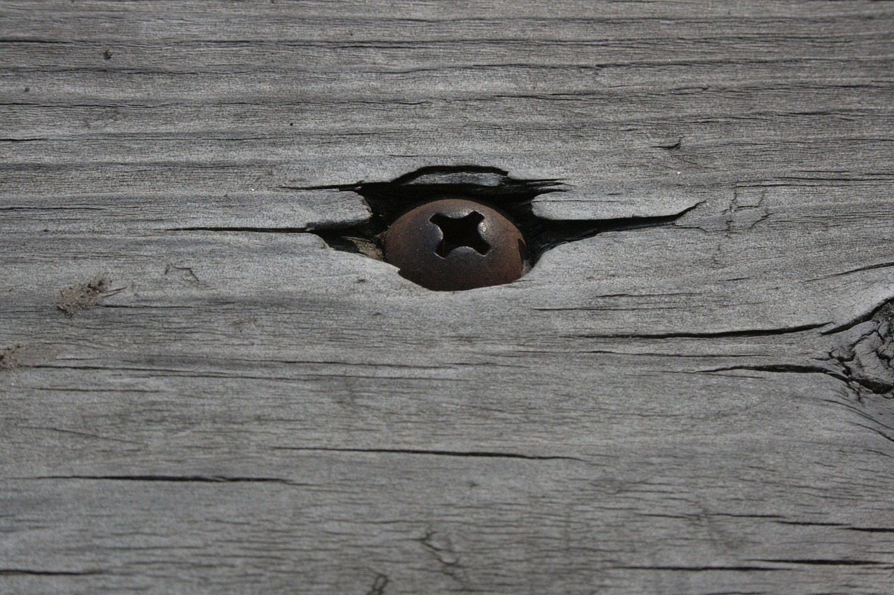 screw, wood, weathered, old, rusty, construction, equipment, carpentry, repair, timber, plank, hardware, fix, handyman, worker, job, hardwood, craft, improvement, repairman, craftsman, build, occupation, man, tools, labor, installation, woodwork, trade, professional, fixing, thread, craftsmanship, fastener, threaded, gray construction, gray job, gray tools