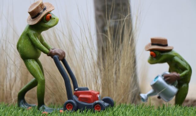 statue, frog, gardening, garden, sculpture, lawn mower, decoration, decorative, lawn, spring, nature, closeup, lawn mower, lawn mower, lawn mower, lawn mower, lawn mower