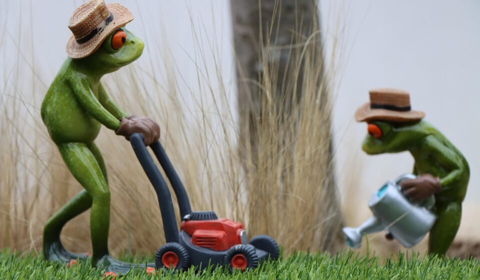 statue, frog, gardening, garden, sculpture, lawn mower, decoration, decorative, lawn, spring, nature, closeup, lawn mower, lawn mower, lawn mower, lawn mower, lawn mower