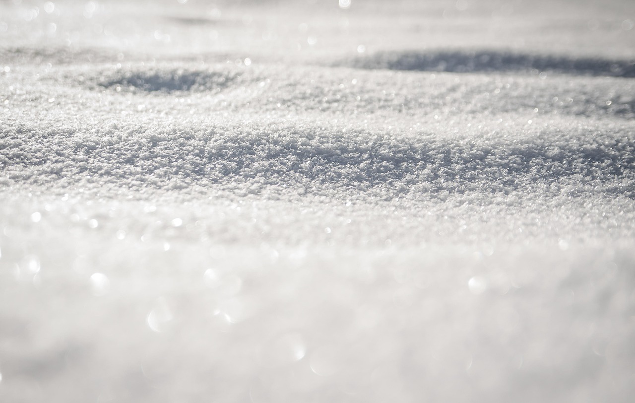 winter, snow, cold, white, nature, frost, frosty, wintry, snowy, hoarfrost, rime, winter season
