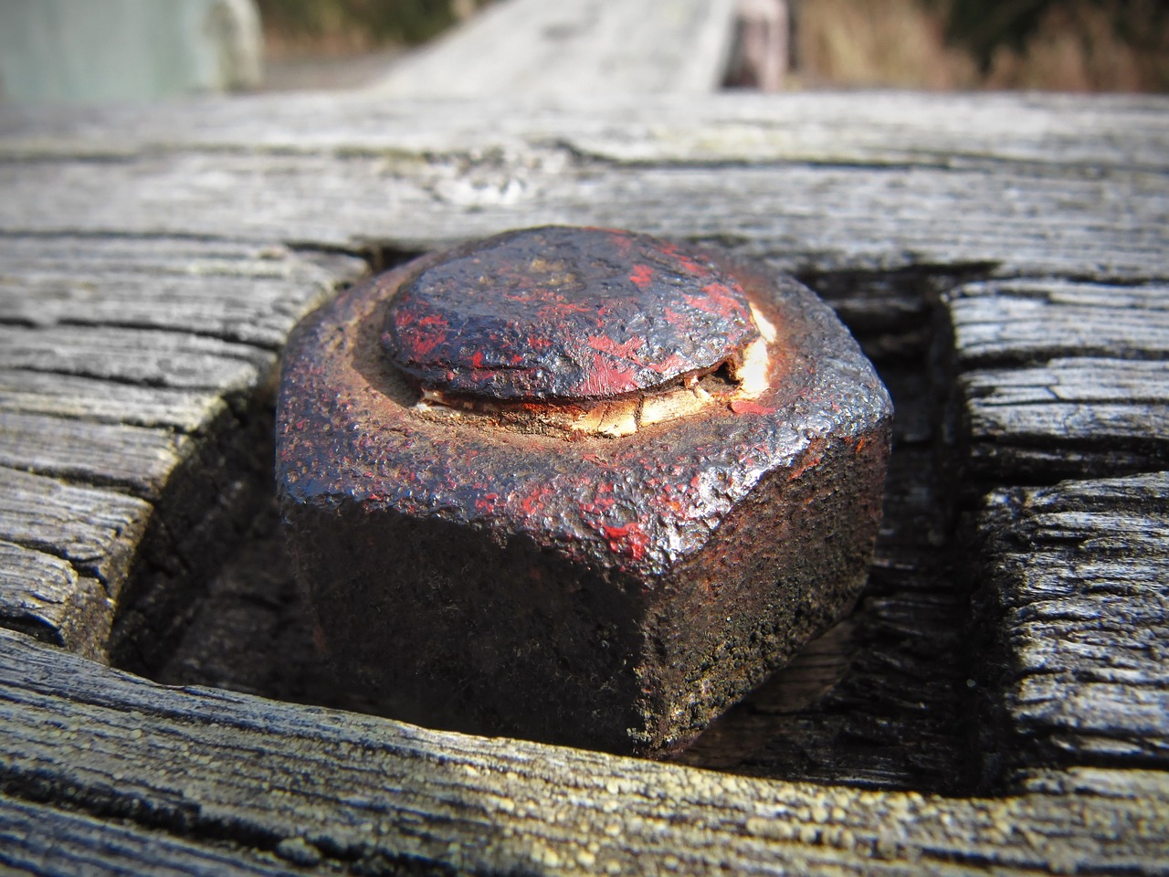 screw nut, nut, iron, screwed, old, rusty, rusted, aged, fastener, bolt, corrosion, hole, metal, rust, wooden, wood, hexagonal, outdoor, oxidation, one, macro, close, square, slot, socket, shape, cracked paint, tight, stable, fastened, firm, threaded, crannied, cracks, stains, corrosible, stiff, sturdy, hardware, construction, inserted, big, exterior, detail, hold, hexagon, metallic, gray construction, gray painting, gray paint, gray metal, rusty, oxidation, oxidation, oxidation, oxidation, oxidation, firm, firm, firm