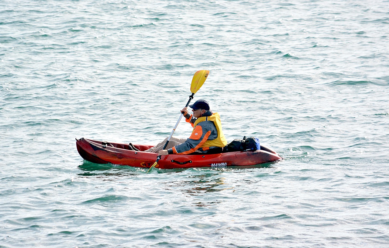 canoe, kayak, water sport, water, paddle, character, sport, outdoor, canoe kayak, leisure, nature, man