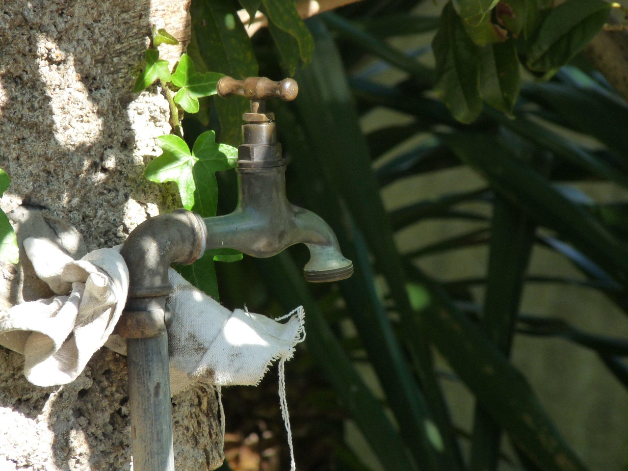 water tap, still life, nature, garden
