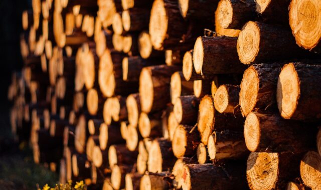 wood, logs, lumber, wood, logs, logs, lumber, lumber, lumber, lumber, lumber