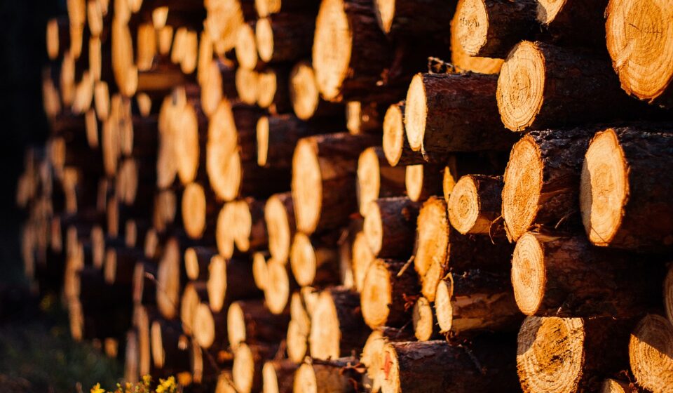 wood, logs, lumber, wood, logs, logs, lumber, lumber, lumber, lumber, lumber