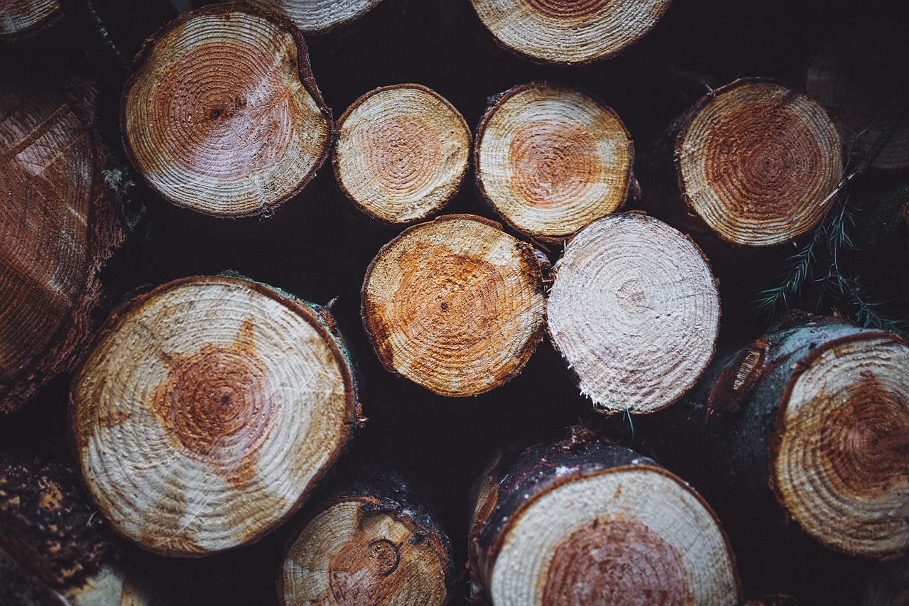 woods, logs, lumber