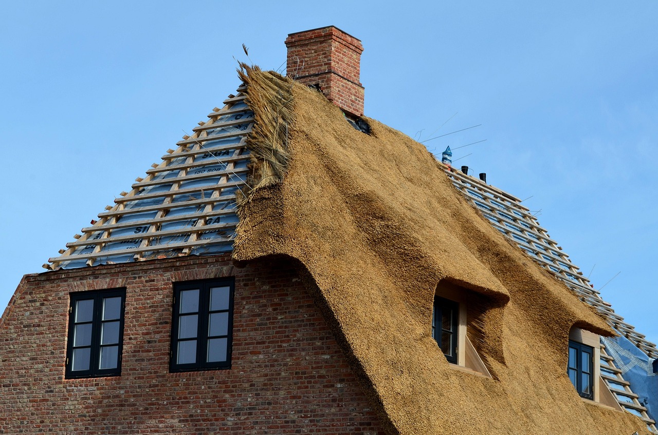 thatched roof, roofing, sylt, list, island, craft, roofers, roof, construction material, housetop, architecture, house, building, roofs, covered, thatched roof, thatched roof, thatched roof, thatched roof, thatched roof, roofing, roofing, sylt, sylt, sylt, roofers, roofers, roofers, roofers