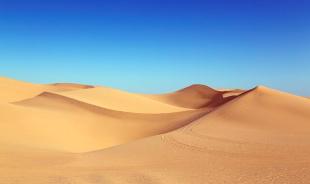 desert, sand, dunes, landscape, sand dunes, nature, sunny, desert landscape, traces, dune landscape, algodones dunes, algodones, sahara, gobi desert, desert, desert, desert, desert, desert