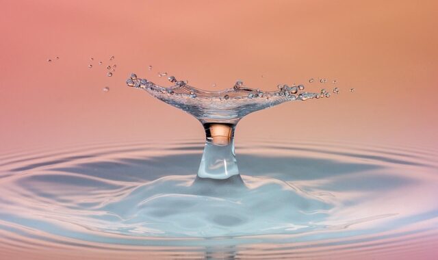 drop, splash, impact, ripples, water, ripple effect, waves, macro, drip, liquid, surface tension, surface, water surface, droplet, drop of water, wet, nature, close up