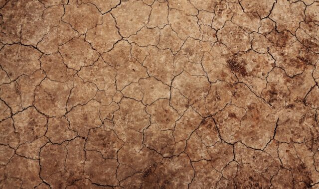 arid, cracked, wallpaper hd, 4k wallpaper, erosion, cracks, desert, drought, mac wallpaper, dirt, dry, cool backgrounds, free wallpaper, background, windows wallpaper, earth, environment, 4k wallpaper 1920x1080, laptop wallpaper, ground, land, full hd wallpaper, desktop backgrounds, nature, pattern, beautiful wallpaper, free background, rough, soil, surface, terrain, texture, wallpaper 4k, hd wallpaper, brown background, brown earth