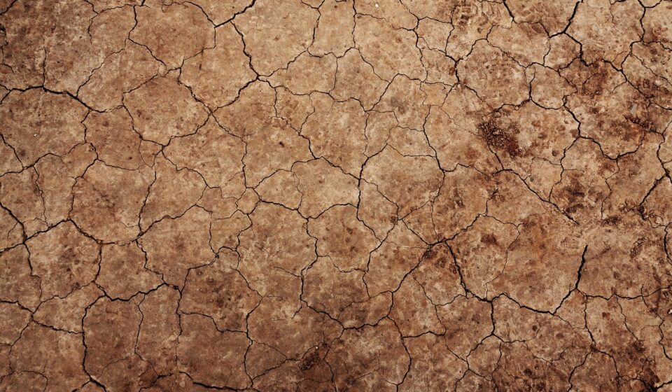 arid, cracked, wallpaper hd, 4k wallpaper, erosion, cracks, desert, drought, mac wallpaper, dirt, dry, cool backgrounds, free wallpaper, background, windows wallpaper, earth, environment, 4k wallpaper 1920x1080, laptop wallpaper, ground, land, full hd wallpaper, desktop backgrounds, nature, pattern, beautiful wallpaper, free background, rough, soil, surface, terrain, texture, wallpaper 4k, hd wallpaper, brown background, brown earth