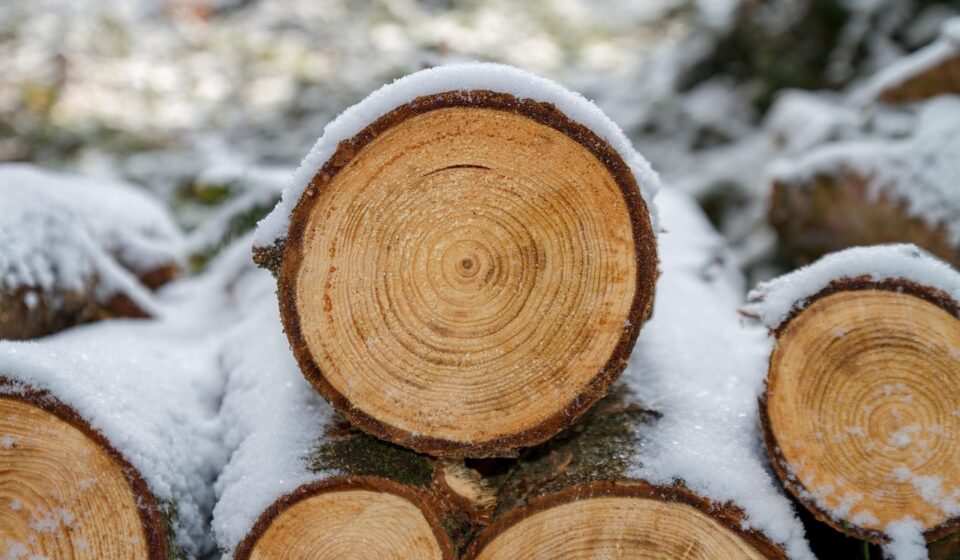 wood, wooden, windows wallpaper, cool backgrounds, saw, background, desktop backgrounds, full hd wallpaper, 4k wallpaper 1920x1080, nature, tree, wallpaper 4k, free background, 4k wallpaper, hd wallpaper, forest, beautiful wallpaper, mac wallpaper, free wallpaper, snow, wallpaper hd, laptop wallpaper, tree trunk