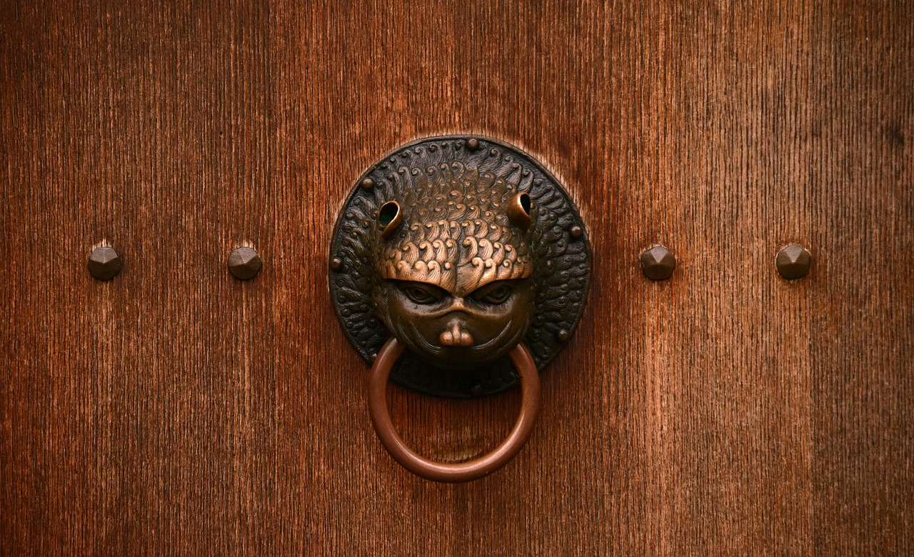 door, close up, old door, old, entrance, wood, ornament, door knocker, fitting, metal, historical, middle ages, lion head, fantasy creatures, ring, inlet, historic center