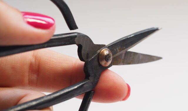 scissors, sharp, hand, equipment, cutting, desktop, tool, create, cut, barber, hair, hairdresser, razor, barbershop, accessory, fashion, shaving, craft, hairstyles, salon, stainless, simple, minimal, creative, blog, blogging, metal, black, white, pink, tools, trim, grooming, accessories, blade, professional, hairdressing, art and craft, diy, do it yourself, handy