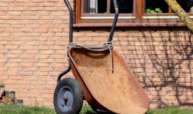 gardening, wheelbarrows, set up, empty, lawn, garden, tool, working device, garden tools, nature, equipment, spring, clean, clean up, landscaping, tools, work, maintenance, court