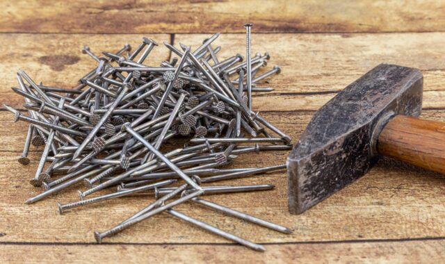 nails, flat head, stole, industry, metal, glittering, tool, hardware, iron, metallic, repair, building, equipment, renovation, diy, connect, craft, hammer, wood, attach, renovation, renovation, renovation, renovation, renovation, diy, diy, diy, hammer, hammer