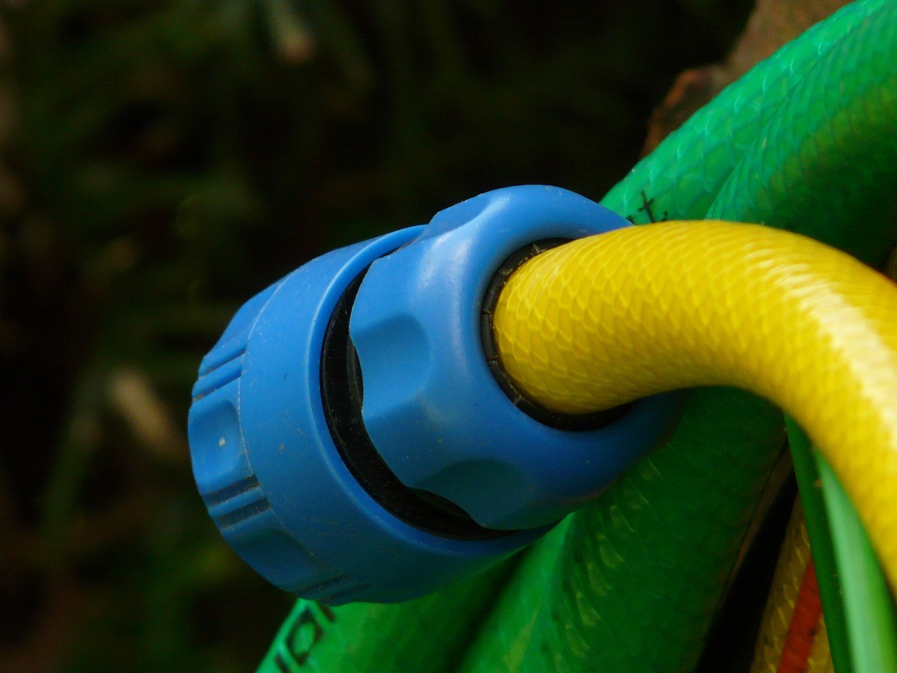 hose, garden hose, irrigation, nature, water, splash, to water