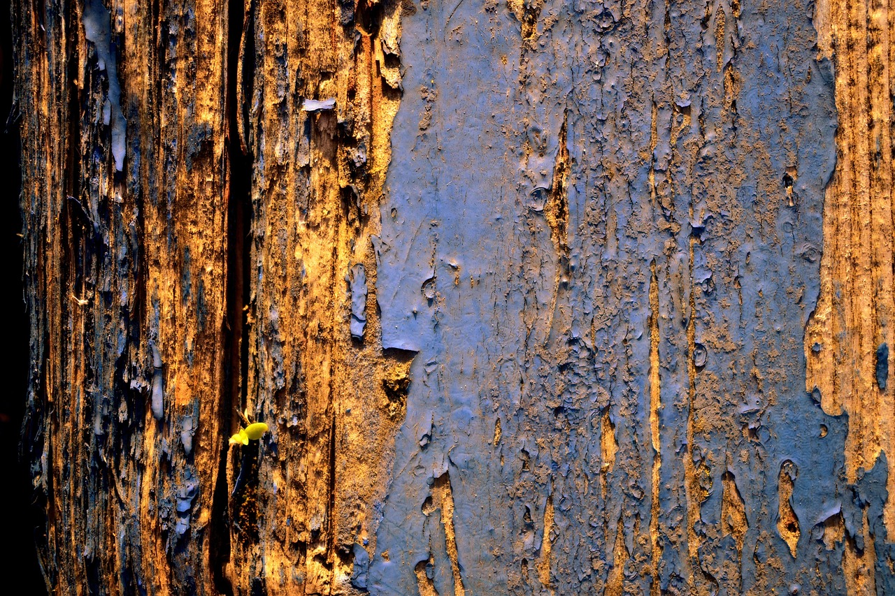 board, old, wood, texture, dye, surface, rough